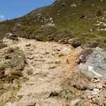 Die Wanderung zum Grünbachsee ist bestens ausgeschildert