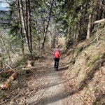 Der Weg Nr. 5A führt durch Wiesen und lichte Haine