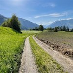 Sanft zieht sich der Weg durch Wiesen und Felder zur Burg Reifenstein