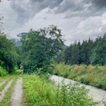 Entlang des rauschenden Pfitscher Baches zurück nach Wiesen