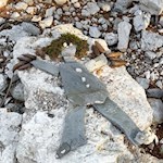 Steinmännchen auf dem Weg nach Bad Ratzes