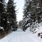 Bestens präpariert präsentiert sich die Raschötzrodelbahn