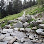 Unterwegs queren wir ein plätscherndes Bächlein