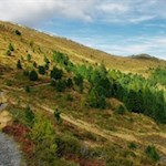 Durch die herbstlich geprägte Landschaft in Richtung Lüsner Joch