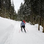 Abfahrt von der Welschellener Alm