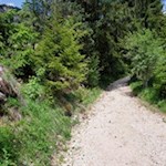 Der Weg zur Plafötsch Alm ist nicht zu verfehlen