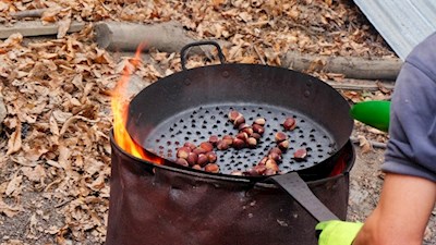 Kaum jemand vermag dieser Versuchung zu widerstehen...