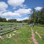 Der letzte Anstieg zur Wurzeralm