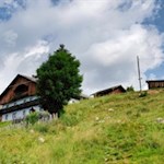 Schließlich zweigt der Wiesenweg zur Kiener Alm von der Straße ab