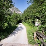 Auf sanft ansteigenden Wegen zur Allrissalm