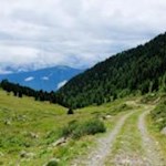 Auf breiten Forstwegen zurück nach Platten