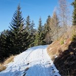 In angenehmer Steigung auf den Gols