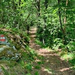 Über die Hänge des Eisacktaler Mittelgebirges von Kollmann auf den Ritten