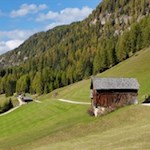 Der erste Abschnitt des Weges führt durch malerische Wiesen