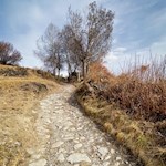 Auf dem Poststeig nach Tschöfas 