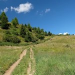 Durch sanfte Bergwiesen auf den Rosskopf