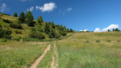 Durch sanfte Bergwiesen auf den Rosskopf