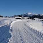 Vor der Kulisse des Astjoch führt die Wanderung über die Rodenecker Alm