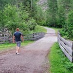 Hinter dem Sinichbach steigt der Weg zur Moschwaldalm an