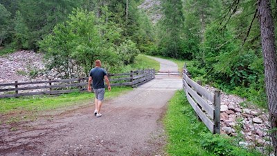 Hinter dem Sinichbach steigt der Weg zur Moschwaldalm an