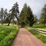 Die sanft ansteigenden Wege können auch mit einem geländetauglichen Kinderwagen befahren werden