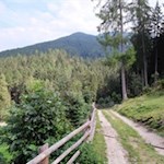 Der Weg Nr. 6A führt zum Wanderparkplatz zurück