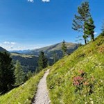 Vor schöner Bergkulisse quert der Höhenweg die Hänge am Fuße des Peitler