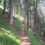 Im Schatten hoher Bäume führt der Steig zur Rußbachalm und zur Kegelgasslalm