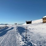 Der nahezu ebene Weg Nr. 2 führt durch eine bezaubernde Winterlandschaft