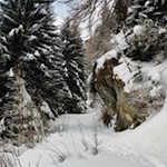 Im zunächst steten Anstieg durch den Wald