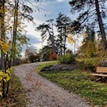 Der sanfte Spazierweg ist auch für Kinderwagen geeignet