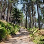 Anstieg zur Unterpulghütte