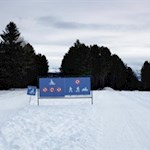 Die Rodelbahn verläuft parallel zum Winterwanderweg