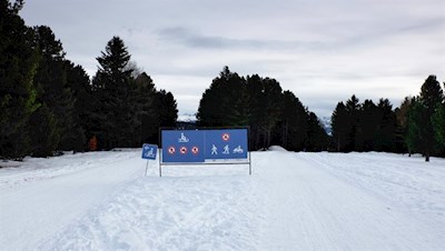 Die Rodelbahn verläuft parallel zum Winterwanderweg