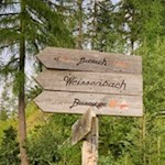 Hinter der Busegge Alm zweigt der Weg nach Luttach ab