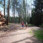 Der Europäische Fernwanderweg führt zunächst durch den Wald