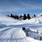 Sanft zieht sich der Wanderweg durch die schneebedeckte Almlandschaft