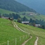 Auf einsamen Feldwegen in Richtung Pirchner Moos