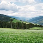 Unser Blick schweift von der Eidechsspitze ins Pustertal