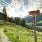 Auf dem Weg Nr. 18B zurück nach Luttach