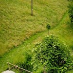 Der Bienenweg führt durch sattgrüne Wiesen und Wälder