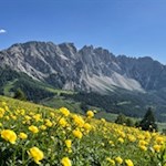 Blick von der Masare Hütte auf den Latemar