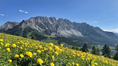 Blick von der Masare Hütte auf den Latemar