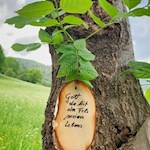 Der Besinnungsweg nach Thuins wird von besinnlichen Sprüchen gesäumt