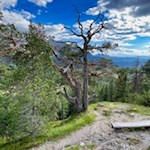 Aussichtsbank auf dem Kaiserstein