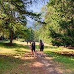 Wandern bei Latsch im Vinschgau