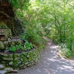 Die Karlspromenade verheißt wohltuenden Schatten an heißen Tagen...