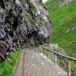 (Be)rauschend schön: auf dem Weg zum Wilden See