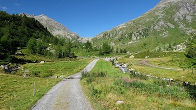 Im Hintergrund erhebt sich der Schaflahnernock