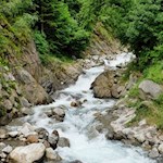 Der Rückweg folgt über große Teile dem Zielbach